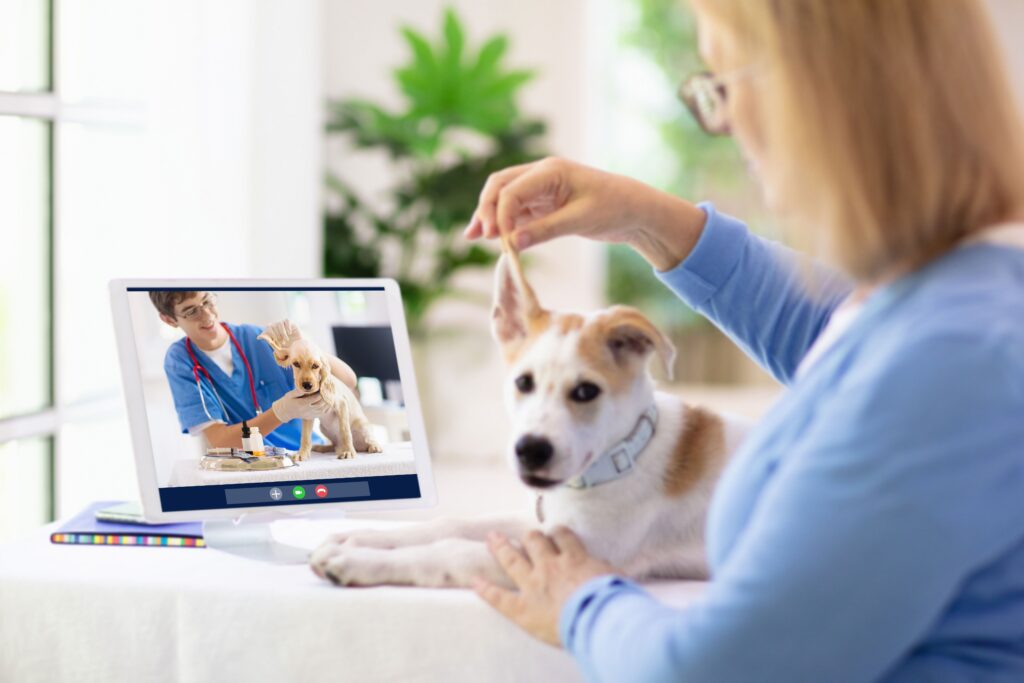 What Is a Veterinary Pet Portal